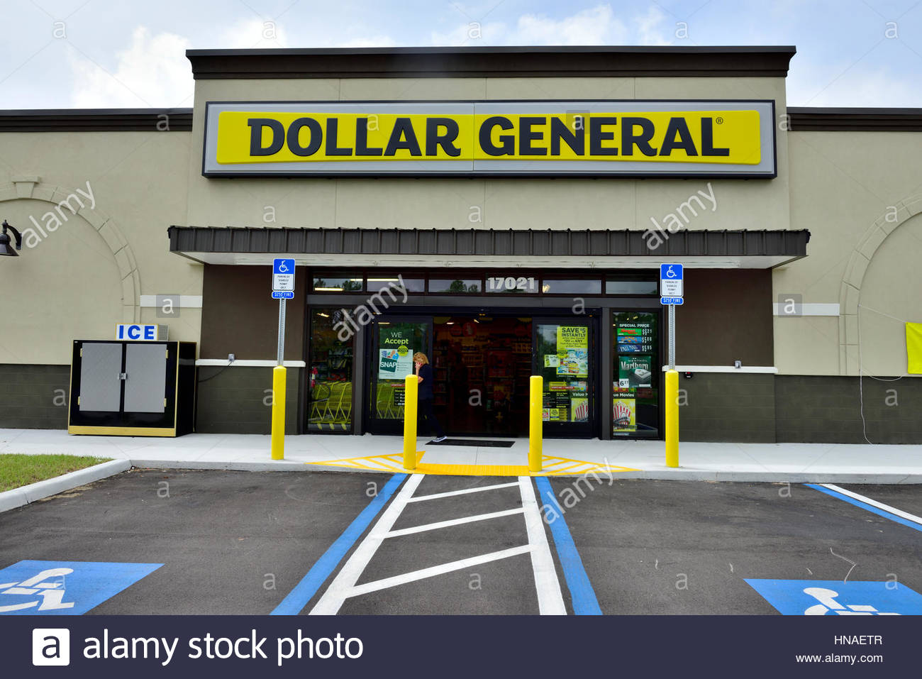 Dollar General Corporation Reports First Quarter 2020 Results image