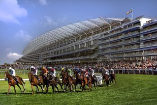 Ascot Racecourse Licensing International