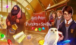 Harry Potter Warner Brothers Zynga Licensing International