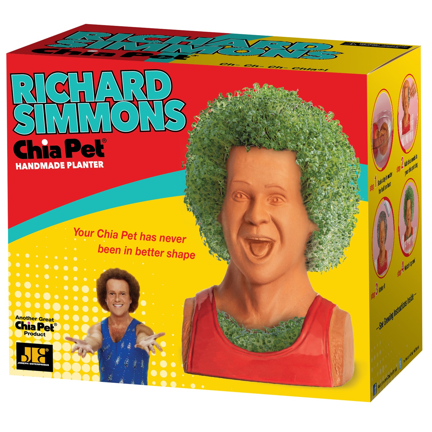 Watch The Holiday Cheer Grow with CH-CH-CH-CHIA™ CHIA PET
