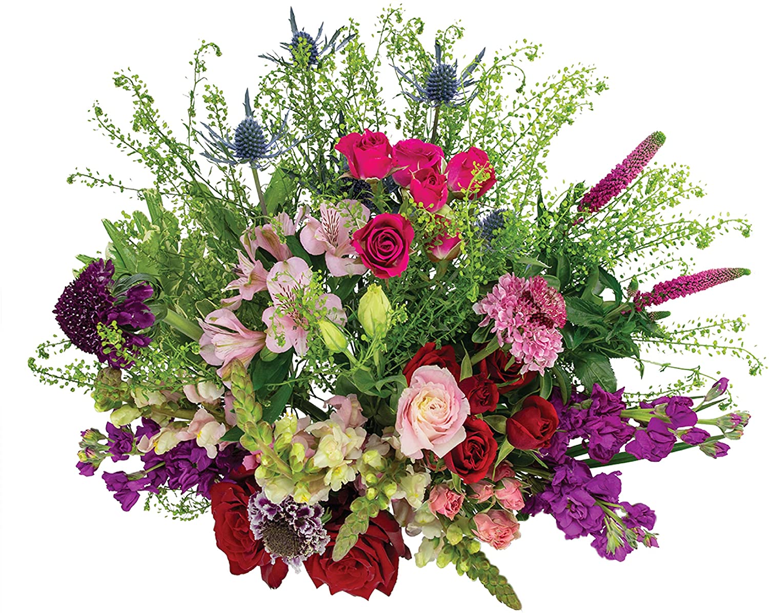 Colour Republic and Country Living Announce Launch of “Country Living Floral Collection” image