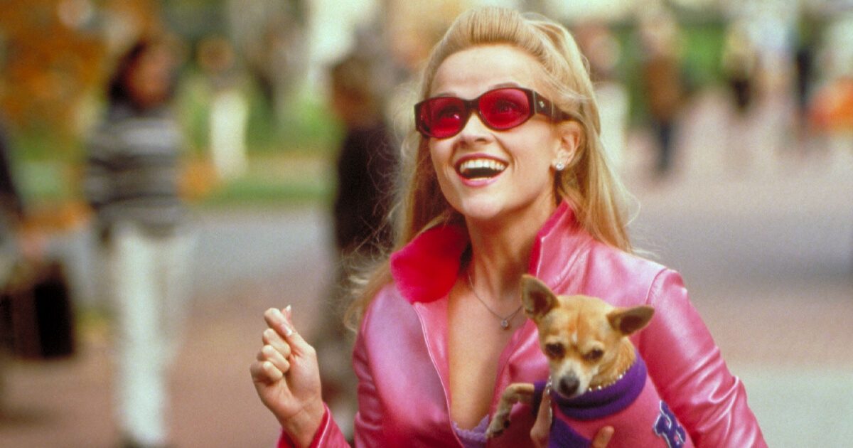 MGM to Kick Off Legally Blonde Turns 21 Licensing Celebration in 2022 image