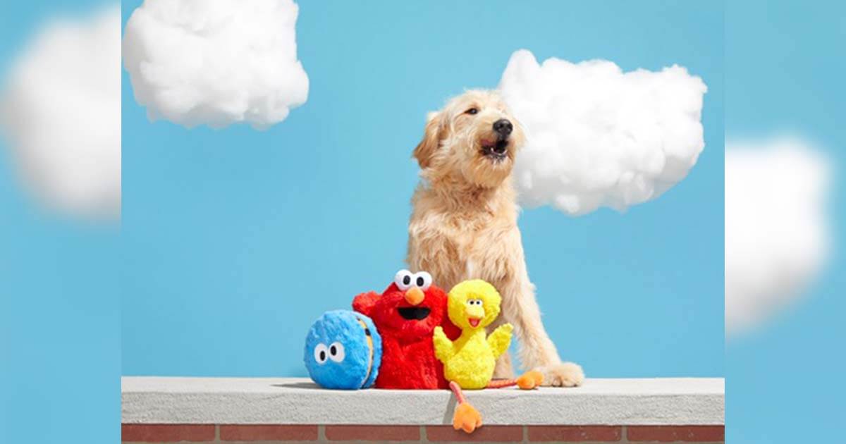 BARK Bringing Sesame Street to your Four-Legged Pet image