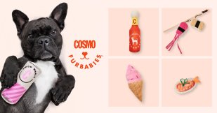 Cosmopolitan Furbabies