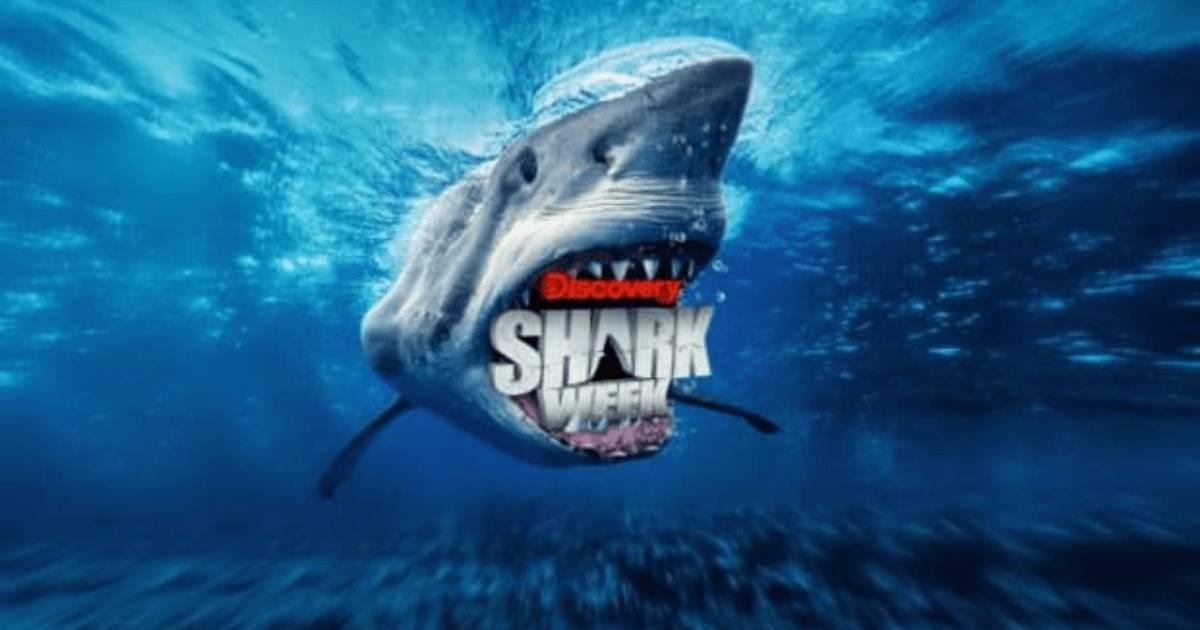 Discovery Channel Dives Into Shark Week 2022 With Launch of Consumer Products Program Featuring New and Returning Partners image