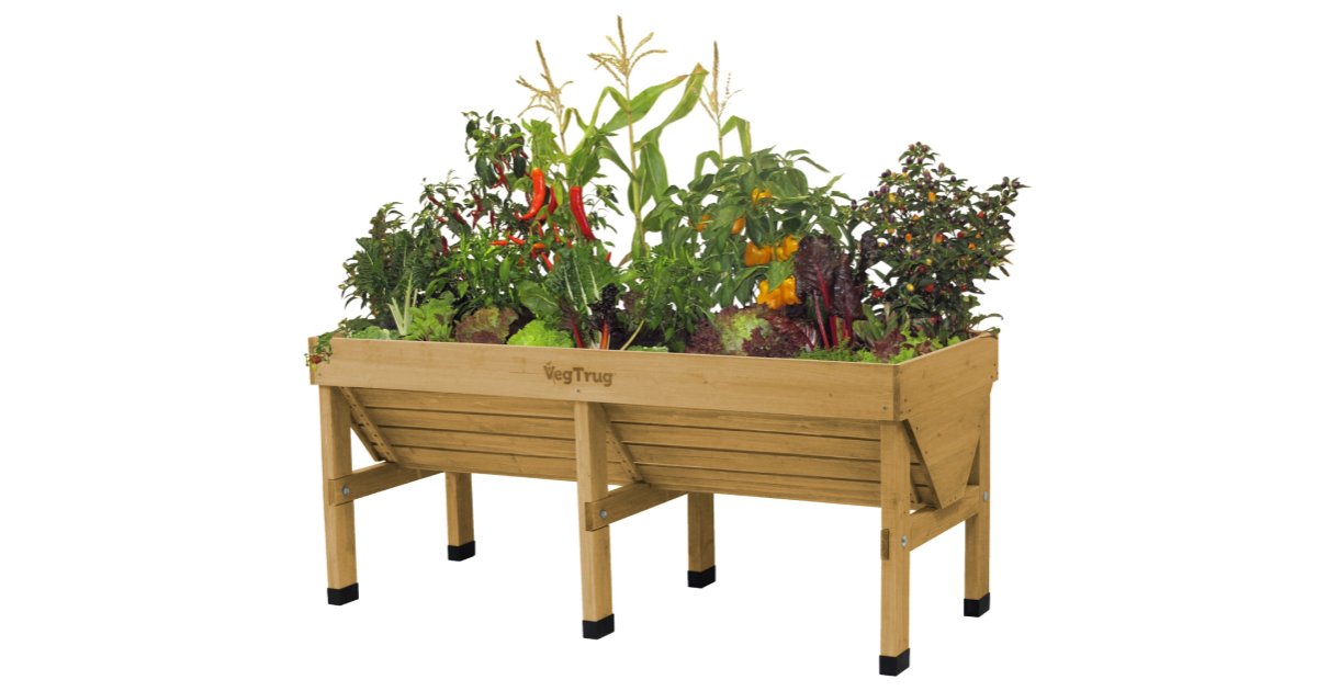 RHS Endorses VegTrug Raised Beds and Products for Home Growing image