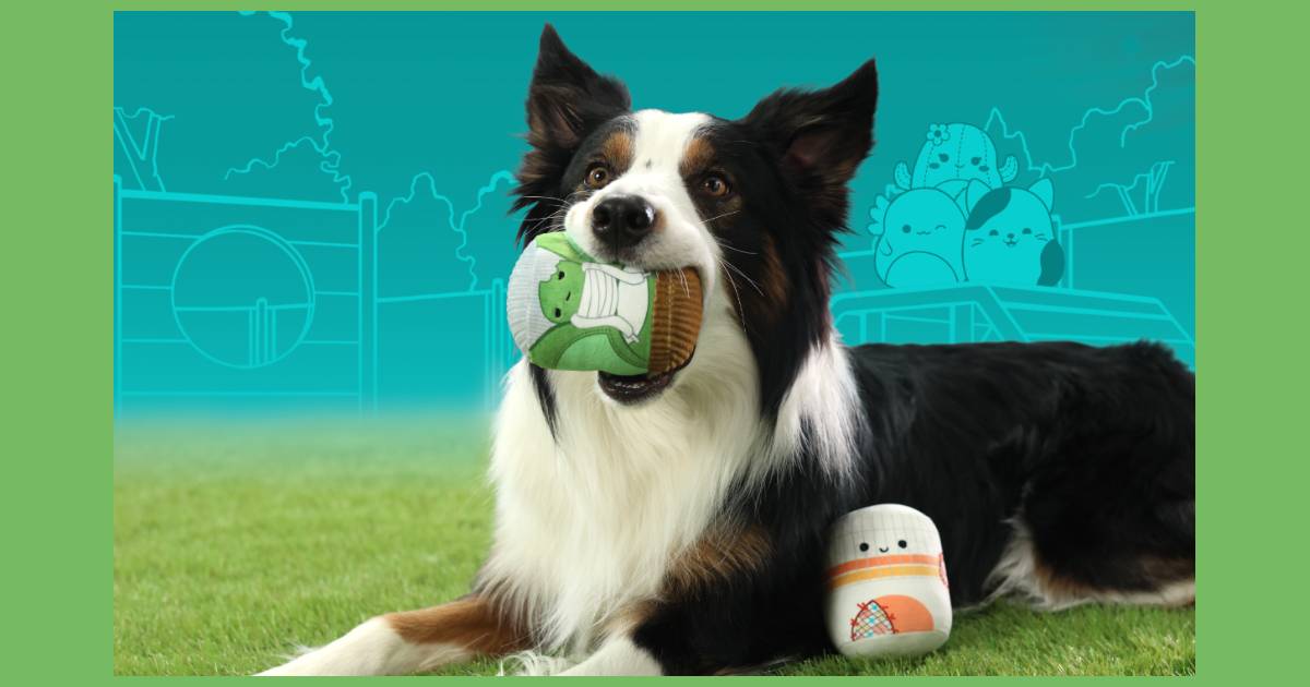 Jazwares Unveils Chew Mees – A Squishmallows Treat for Pets! image