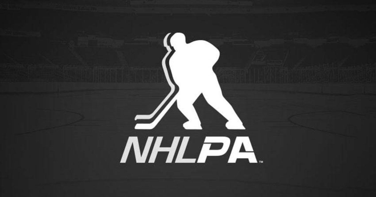 Steve Scebelo Joins NHLPA as CCO image