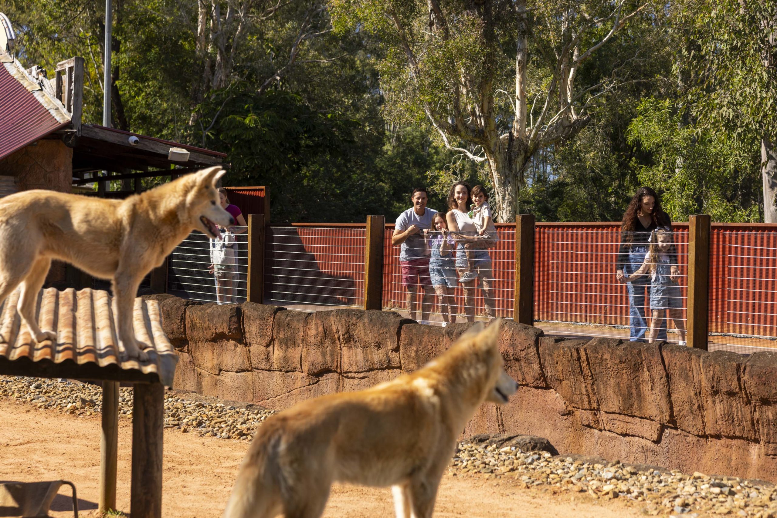Australian Geographic and Dreamworld Unveil WILD with Australian Geographic, a Celebration of Australia’s Landscapes, Wildlife, and Conservation Future image