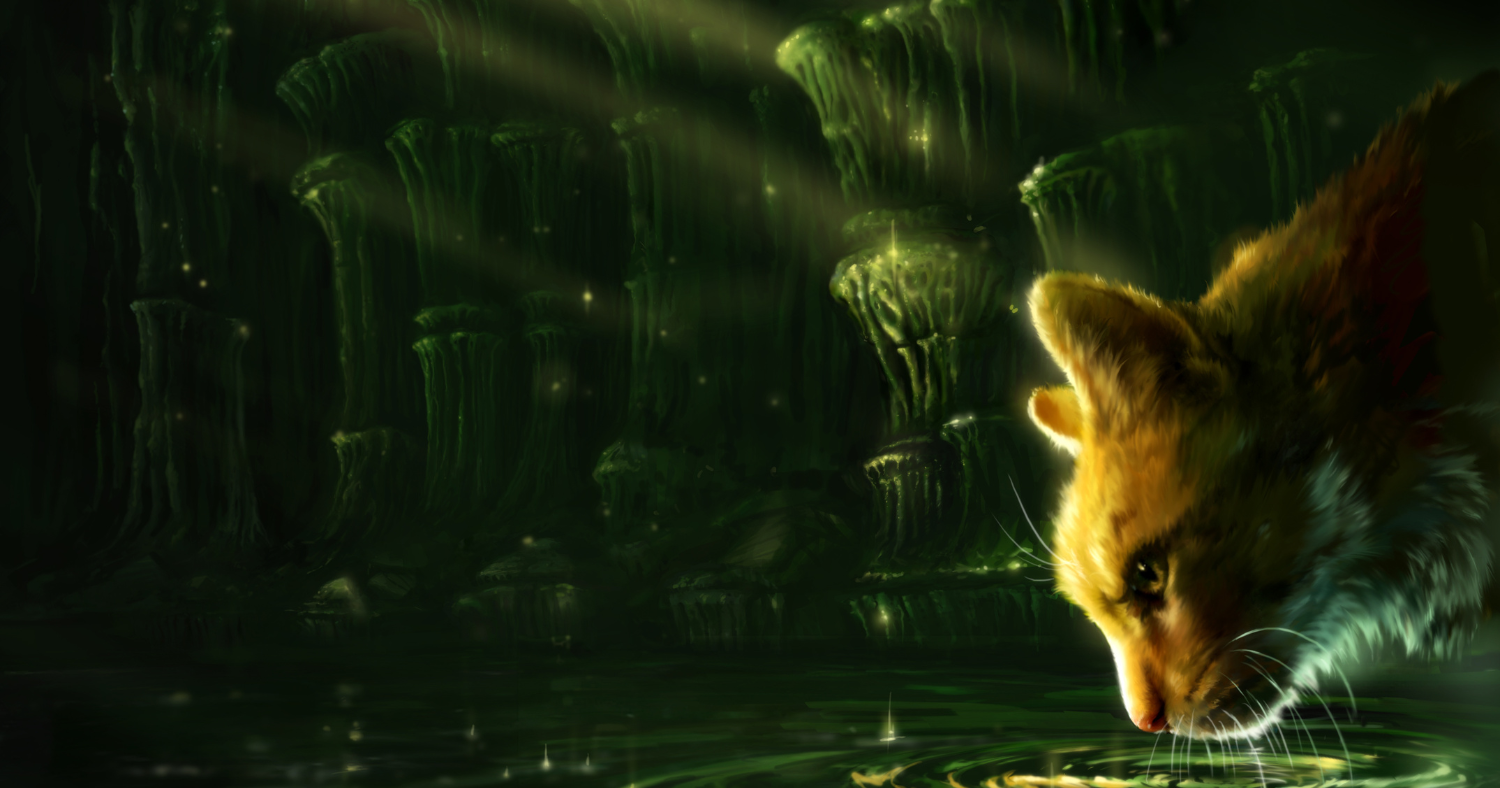 Coolabi Group to Develop Warrior Cats Mobile Game with Red Games Co. image