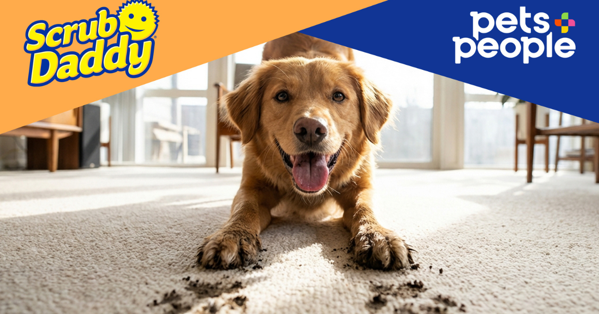 Scrub Daddy and Pets + People Partner on Exclusive Pet Stain and Odor Cleaning Launch image
