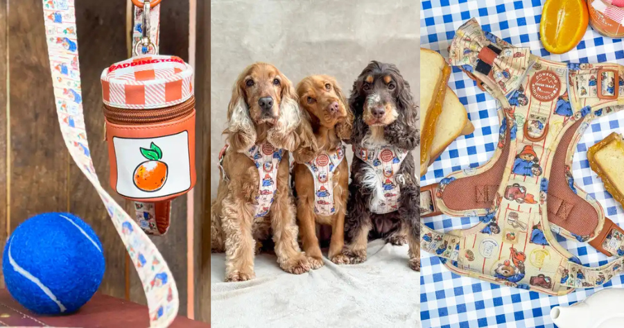 StudioCanal Kids & Family Ltd. Announces New Paddington™ Partnership With Pawsome Paws Boutique image