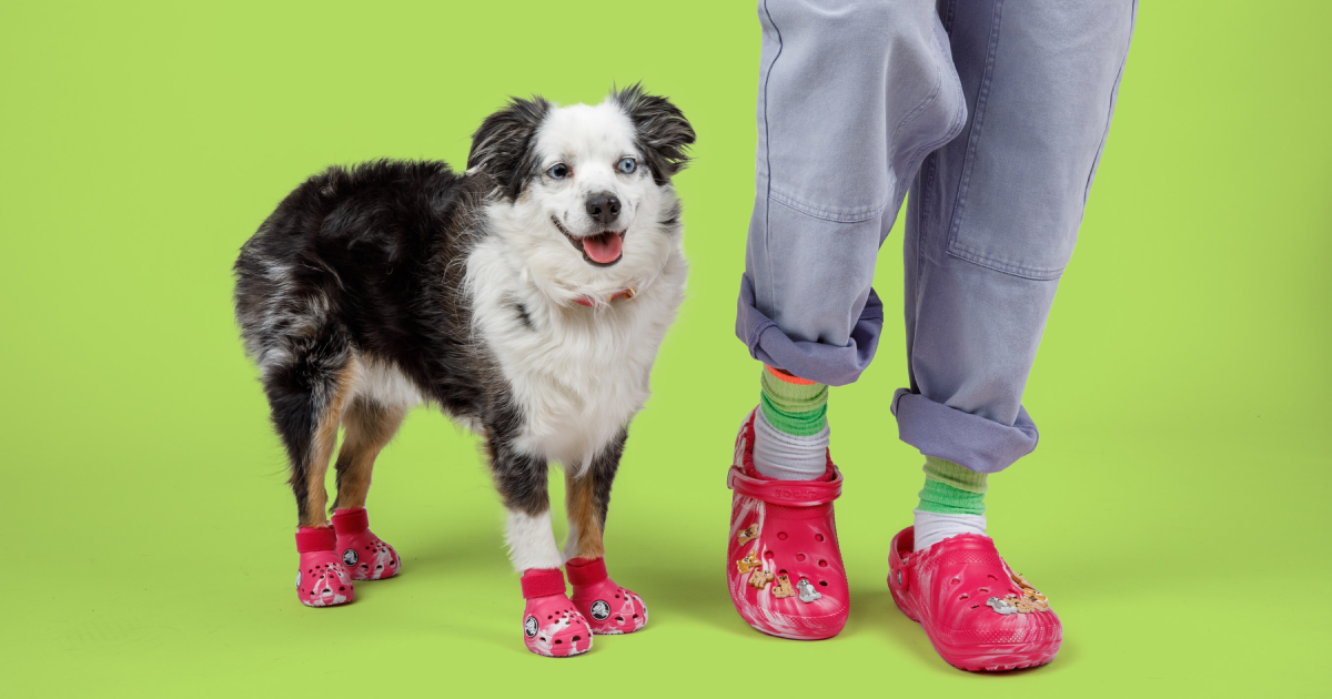 Pet Foods, Hard Goods Follow Different Licensing Paths  image