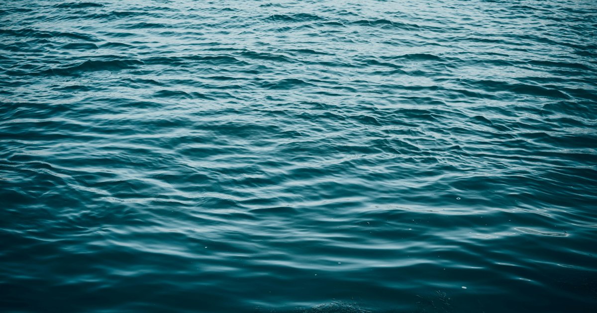 Aligning Sustainability Across Diverse Licensing Portfolios image