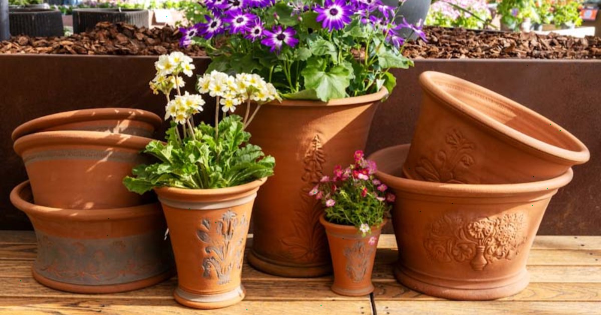 RHS Joins the 50th Anniversary Celebrations for Whichford Pottery image
